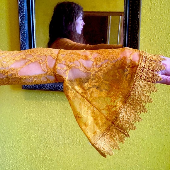 Medieval style Lacey over gown - Picture 1 of 6